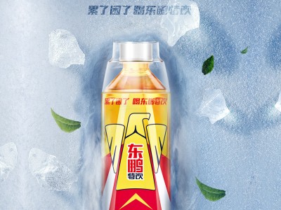 东鹏特饮维生素功能性饮料500ml图3