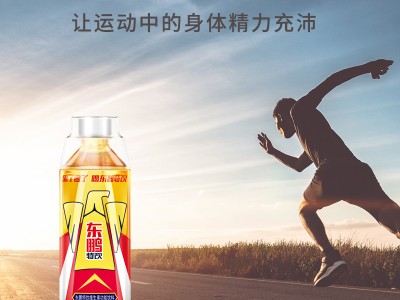 东鹏特饮维生素功能性饮料500ml图4