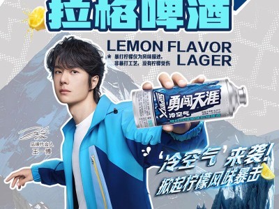 雪花拉格啤酒勇闯天涯冷空气暴打柠檬500ml图2
