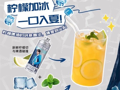 雪花拉格啤酒勇闯天涯冷空气暴打柠檬500ml图3