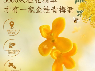 梅见金桂风味青梅酒12度750ml图2