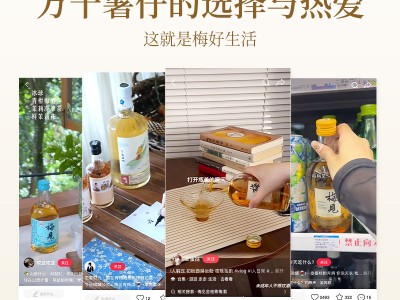 梅见金桂风味青梅酒12度750ml图4